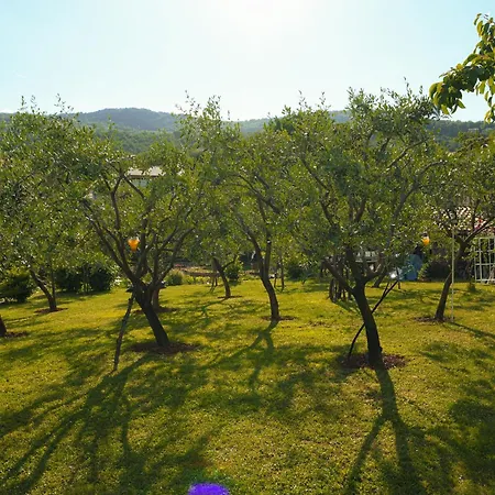 Sablic - Opatija-ika, With Stunning View On Sea In Middle Of Olive Garden With A Beautiful Pool Apartment